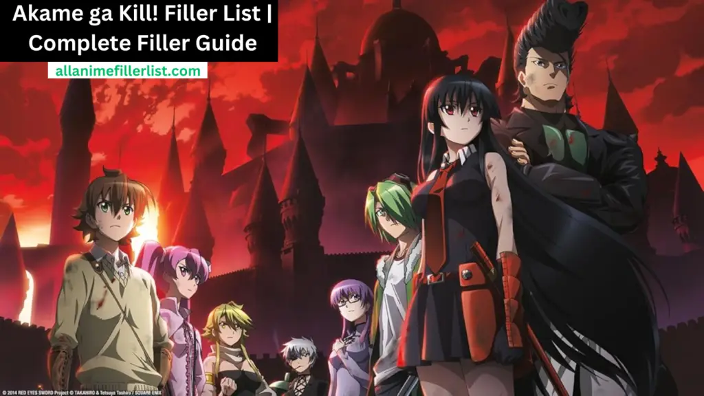 Akame ga Kill! Filler List | Complete Filler Guide